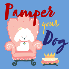 Pamper your Dog