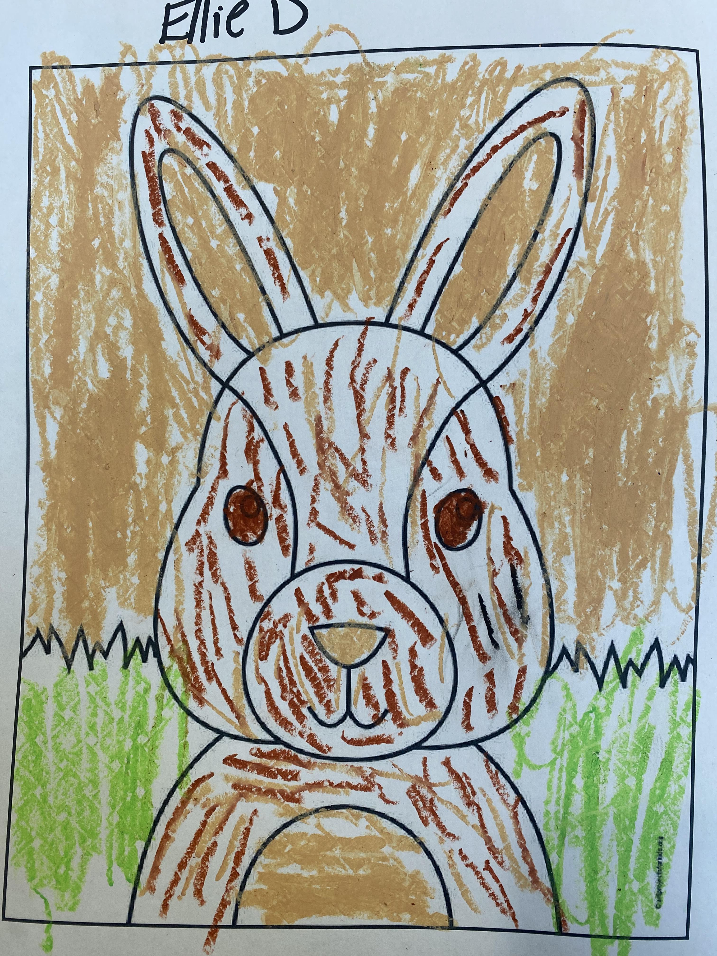 rabbit art1