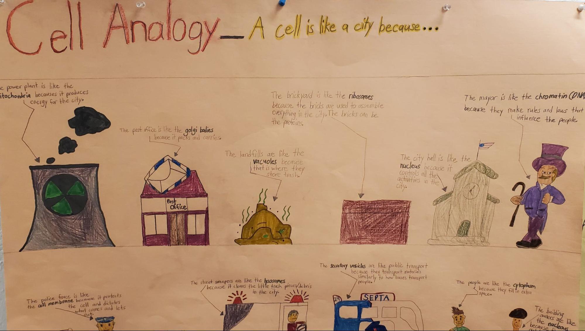 cell biology project1