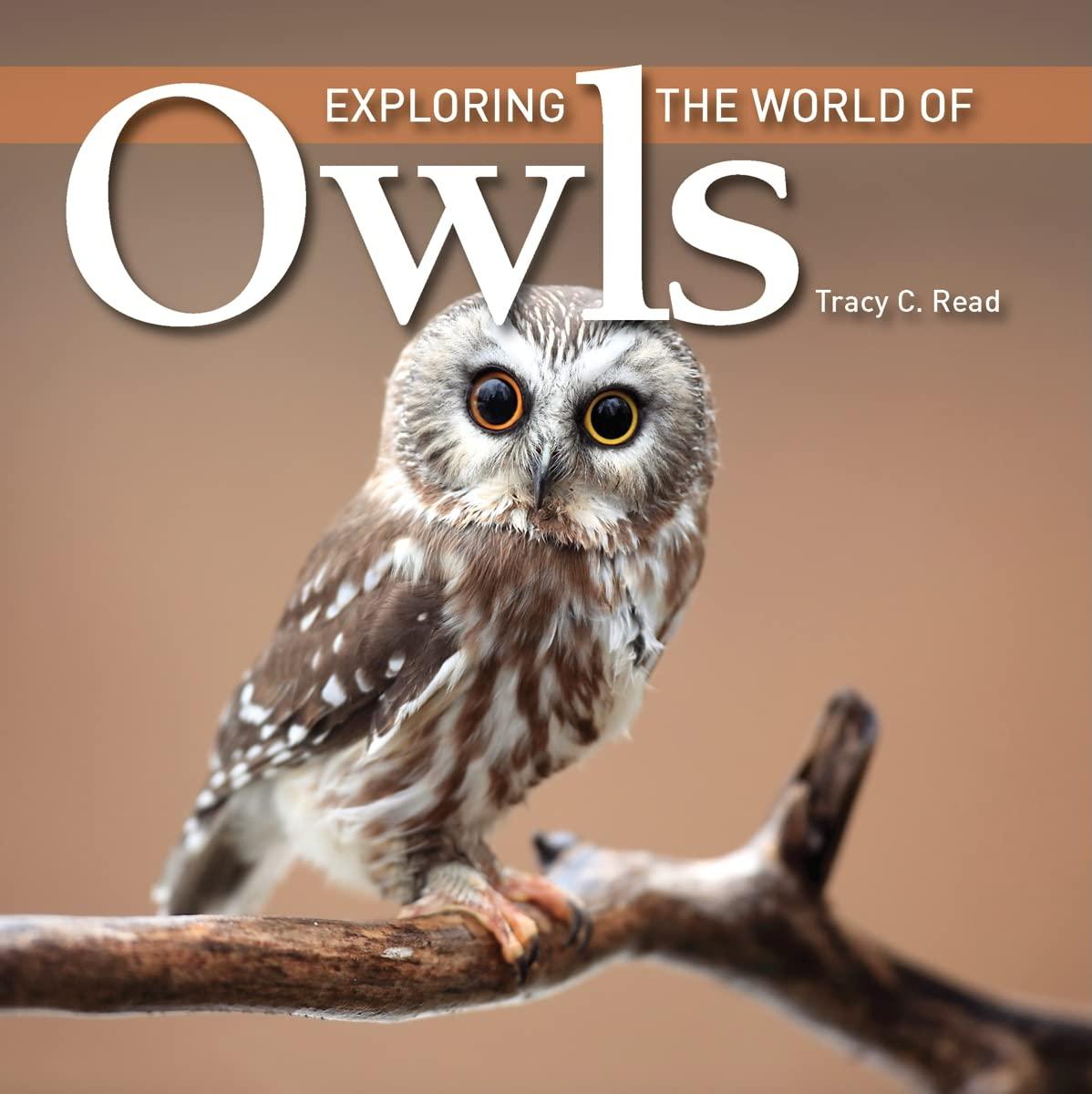 Exploring the World of Owls By Tracy C. Read
